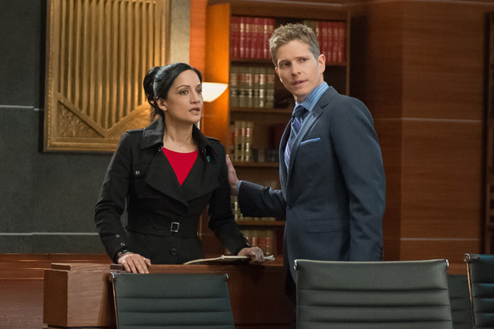 The Good Wife The Good Wife